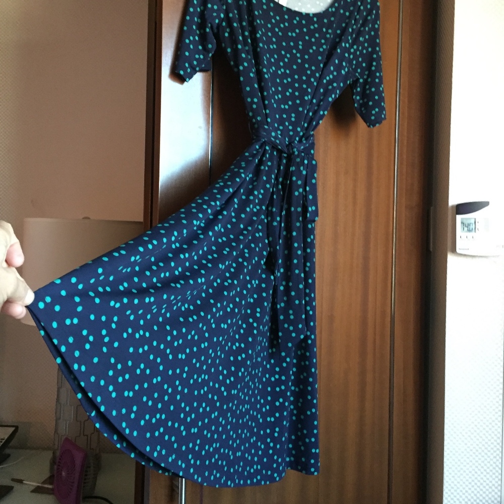 Polkadot Belted Swing Dress